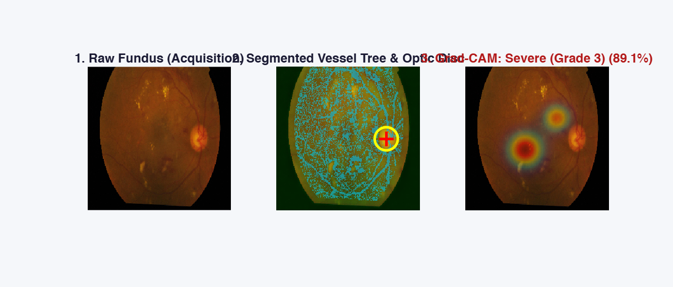 RetinaSight MATLAB multi-layer clinical diagnostic validation